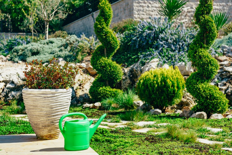Mantenimiento de jardines en Comunidad de Madrid